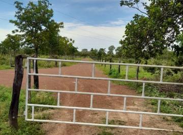 Rural de 4 quartos, Alvorada do Norte · SÍTIO À VENDA – ALVORADA DO NORTE
