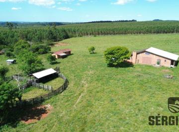 Rural , Eldorado do Sul · RARIDADE FAZENDA COM 259 HÁ COM CASA, GALPOES, MANGUEIRA, BALANÇA, PIQUETES À 6KM DA BR 290