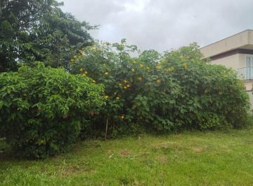 202503281103429721.jpg · Terreno para Venda em Guaratuba, Cohapar