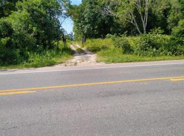 20230525145504688587.jpg · Área Rural para Venda em Guaratuba, Boa Vista