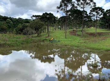 Foto 16 · Chácara - Campo Alegre