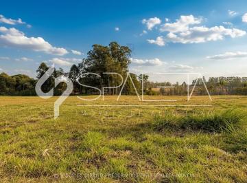 Terreno · 2503m² · Fazenda da Grama - Lote à venda na Fazenda da Grama em Itupeva