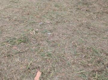 Terreno · 150m² · Terreno em Parque São Bento, Sorocaba/SP de 0m² à venda por R$ 97.000,00