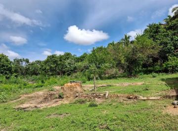 Rural · 10m² · Fazenda em Itapecuruzinho, Caxias/MA de 10m² à venda por R$ 190.000,00