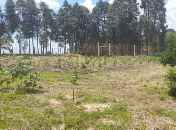Rural · 2545m² · CHACARA COM 2.545,00M² - ARAÇOIABA DA SERRA