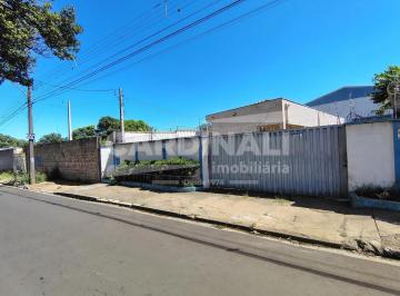Comercial · 787m² · Barracão comercial na vila Isabel.