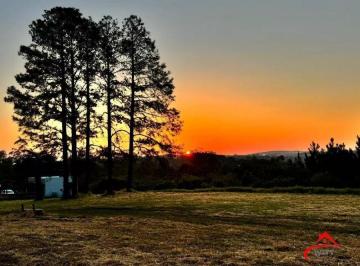 Rural · 5000ha · 2 Quartos · sitio lazer Manoel Santana(BRANQUINHA)1/5ha,casa alvenaria 80m2 3dorm