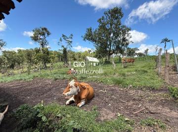 Rural · 37043m² · 5 Quartos · 2 Vagas · Sítio em Rio Negrinho, Bairro Rio do Salto