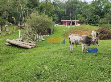 libtcpc2otc0zgq1zdlhmtnl_md · Chácara à venda em São Pedro de Alcântara com casas, piscina e açude