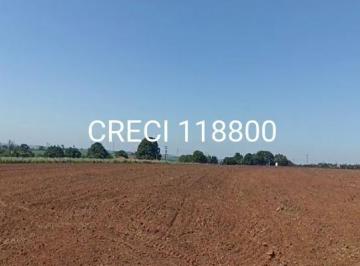 24025.jpg · Chácara/Sítio para Venda Área Rural de Engenheiro Coelho Engenheiro Coelho