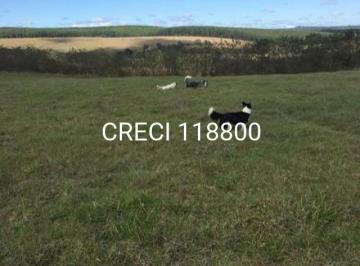 20132.jpg · Chácara/Sítio para Venda Centro Salto de Pirapora
