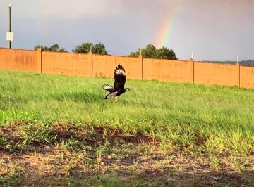 Invista ou construa no Alphaville Pernambuco 1, em um terreno diferenciado e lindo! · Invista ou construa no Alphaville Pernambuco 1, em um terreno diferenciado e lindo!