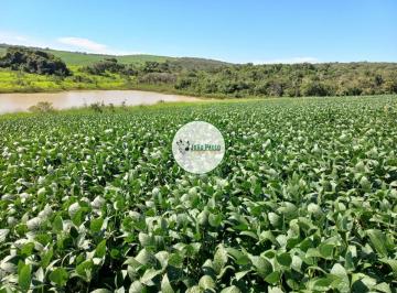 Rural , Campo Alegre de Goiás · Fazenda a venda em Campo Alegre de Goiás -103 Hectares - Boa Logística para armazém de grãos