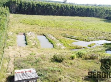 Rural , Triunfo · SÍTIO COM 2,2 HA A 6KM DO ASFALTO COM GALPÃO/CASA SIMPLES E AÇUDES