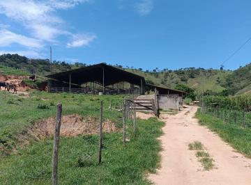 Rural de 9 quartos, Crucilândia · VENDO FAZENDA PARA PECUARIA REGIAO DE CRUCILANDIA -Mg ( 4305 )
