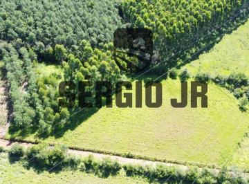 Rural , Triunfo · TERRENO COM 6.350 M2 PARA CHÁCARA A 1,5 KM DO ASFALTO E 3 KM DA COMUNIDADE DA VENDINHA