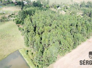 Rural , Triunfo · VENDA 2 HA DE TERRA A 1,3 KM DO ASFALTO EM TRIUNFO RS