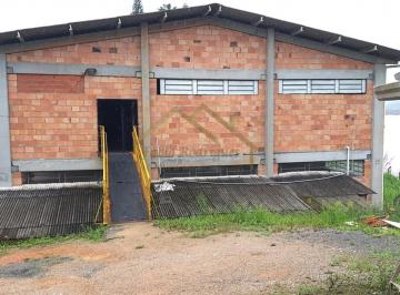 202408111258297789.jpg · Depósito para Venda em Blumenau, Velha Central