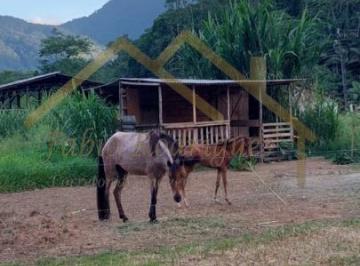 20240407224813440.jpg · Sítio para Venda em Jaraguá do Sul, Centro, 2 dormitórios, 2 banheiros, 2 vagas
