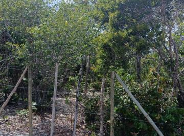 Terreno , Mata de São João · Excelente terreno em loteamento 740m²