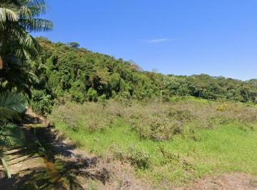 20230825183120876.jpg · Sítio para Venda em Blumenau, Vila Itoupava