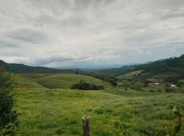 20230707135900473.jpg · Sítio para Venda em Ibirama, Centro