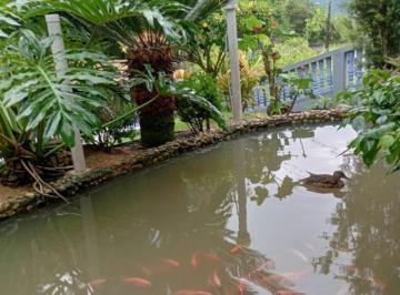20230620114711876.jpg · Sítio para Venda em Blumenau, Progresso, 5 dormitórios, 2 banheiros, 2 vagas