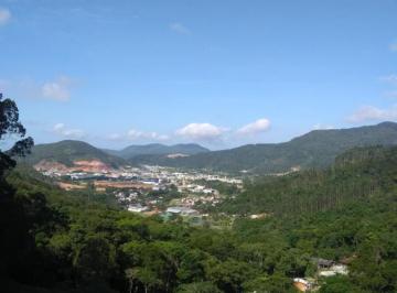 2023070711522770.jpg · Sítio para Venda em Camboriú, Rio Pequeno