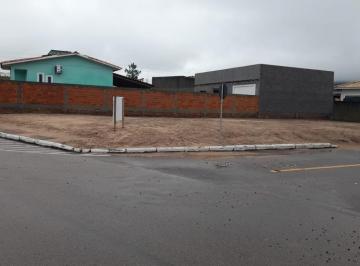 20230420170624772.jpg · Terreno para Venda em Santa Rosa do Sul, Centro