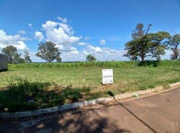 Terreno · 223m² · Terreno - Bosque das Araras - Três Lagoas / MS