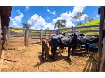 Rural · 1000000m² · Fazenda a venda próximo a Brazlandia- Beira rodovia- área total 500 ha- pode ser fracionada