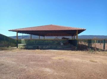 Rural · 2147483647m² · Fazenda Rural à venda, em Niquelandia Centro, Niquelândia - FA0020.
