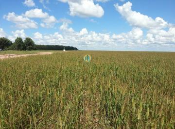 Rural · 40000m² · Área à venda em Porangatu/GO