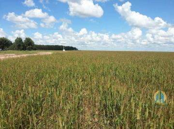 Rural · 40000m² · Área à venda em Porangatu/GO