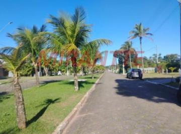 4d74144de381879caedcab8fc51fccd8.jpg · Terreno