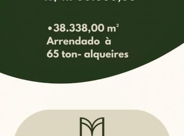 Foto 01 · Sítio à venda em Miguelópolis