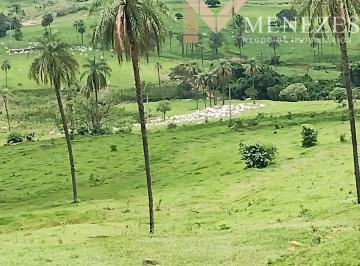 Foto 01 · Fazenda à venda na região de Franca/SP