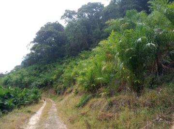 Rural de 2 quartos, Miracatu · Sitio com 5000 pés de banana, nascente e 20000 pés pupunha