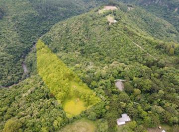 Rural · 63333m² · Área de terras a venda em Fazenda Souza