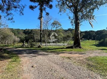 Rural · 20000m² · Rurais à venda - em Caxias do Sul