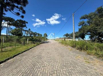 Terreno · 2807m² · Terreno à venda - em São Ciro