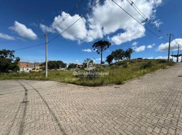 Terreno · 2531m² · Terreno à venda - em São Ciro