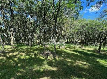 Terreno · 10000m² · Terreno à venda - em São Ciro