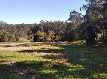 Rural · 2500m² · Sítio para Venda - 2500m², 0 dormitórios, Passo Da Areia