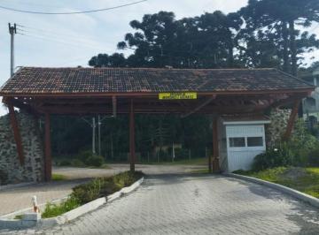 Terreno · 600m² · Lote Alto Padrão em São Francisco de Paula – 600m² com Vista para as Montanhas
