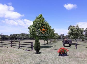 Rural · 40685m² · 3 Quartos · 9 Vagas · Sítio para Venda - 40.685m², 3 quartos, piscina,açude, casa caseiro Lami