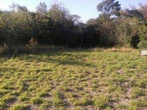 Terreno · 800m² · Terreno à venda - na Ponta Grossa