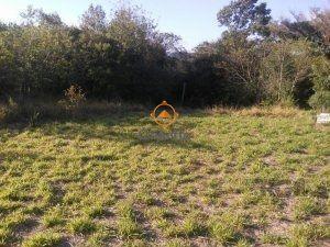 Terreno · 800m² · Terreno à venda - no Lageado
