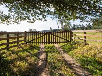 Rural · 220ha · 3 Quartos · 3 Vagas · Rurais à venda - em Viamão