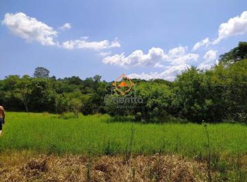 Terreno · 33000m² · Area para Venda - 0m², 0 dormitórios, Belém Velho